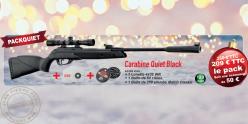 Pack carabine à plombs 4,5 mm GAMO Quiet Black (19,9 Joules) + Lunette 4x32