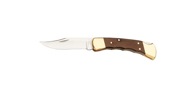 BUCK knife - 110 FG Folding hunter