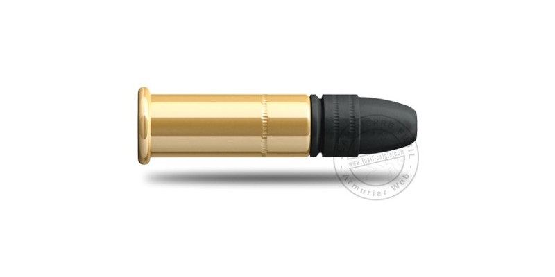.22 Subsonic LRN ammunition - Sellier & Bellot - 2 x 50
