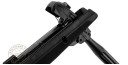 Carabine à plombs GAMO Black 10X Maxxim IGT 4,5 mm (29 joules) + lunette 3-9x40 WR