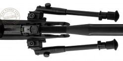 Carabine à plombs 4,5 mm GAMO HPA - IGT (19,9 Joules) + Lunette 3-9 x 40 et bipied
