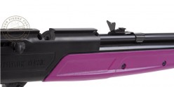 Carabine à plombs 4,5 mm CROSMAN 760 Pumpmaster Rose - Pompe variable (6 à 8 Joules)