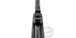 Carabine à plombs GAMO Roadster IGT 10X GEN2 4,5 mm (19,9 joules)