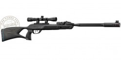 Carabine à plombs GAMO Roadster IGT 10X GEN2 4,5 mm (19,9 joules)